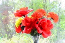 - DSC_3554_resize.JPG