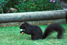 DSC_1116.jpg