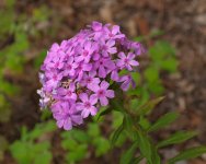 2012-219.jpg