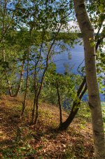 River bank.jpg