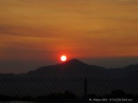 IMG_0010.jpg