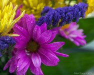 DSC_9843.jpg