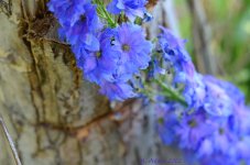 DSC_0178_edited-1.jpg