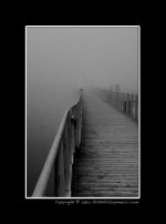 Misty Morning Boardwalk.jpg