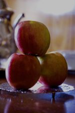 fuji_apples_colorchrome_by_samspade1941-d5a1xwm.jpg