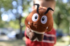 Small Goomba Close Up.jpg