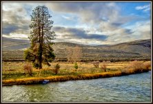DSC_0894.jpg
