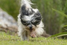 NEW_5281_webshot.jpg