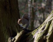 DSC_4670.jpg
