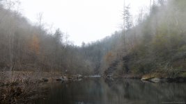 Tellico River--3.jpg