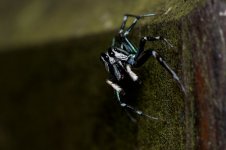 DSC_7484.jpg