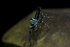 DSC_7485.jpg