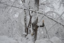 12 12 14 12.jpg