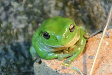 NEW_5389#2_webshot.jpg