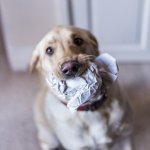 DSC_7208.jpg
