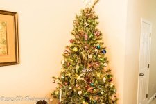 2014 December - Christmas Morning-11.jpg