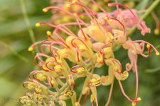 NEW_5469_webshot.jpg