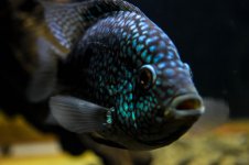 DSC_0355.jpg