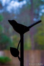 DSC03714.jpg