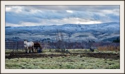 DSC_0955.jpg