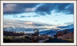 DSC_0950.jpg