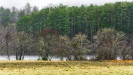 Around Benton,TN--3.jpg