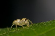 DSC_7625.jpg
