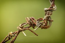 NEW_5525_webshot.jpg
