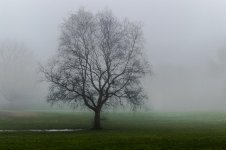 DSC_4827.jpg