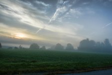 DSC_2091-1.jpg