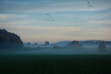 DSC_2085-1.jpg