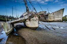 Trimaran in need of love.jpg