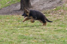 DSC_2836a.jpg