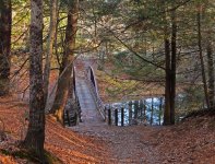 Bridge1.jpg