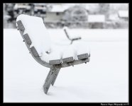 DSC_3301.jpg