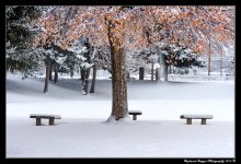 DSC_3314.jpg