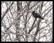 DSC_3405.jpg