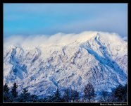 DSC_3437.jpg