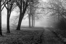 DSC_4840-2.jpg