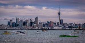 Auckland City Skyline Late Afternoon.jpg