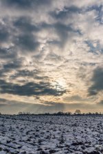_DSC1912.jpg