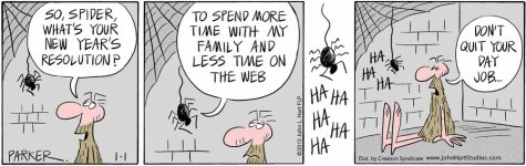 spiders-new-year-resolution.jpg