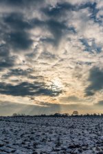 _DSC1913.jpg