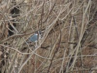 DSCN9233.jpg