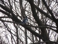 DSCN9236.jpg