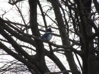 DSCN9244.jpg