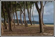 Waimānalo Beach.jpg