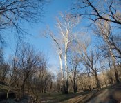 Untitled_Panorama1_Merged.jpg