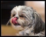 DSC_2558.jpg