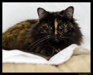 DSC_2564.jpg